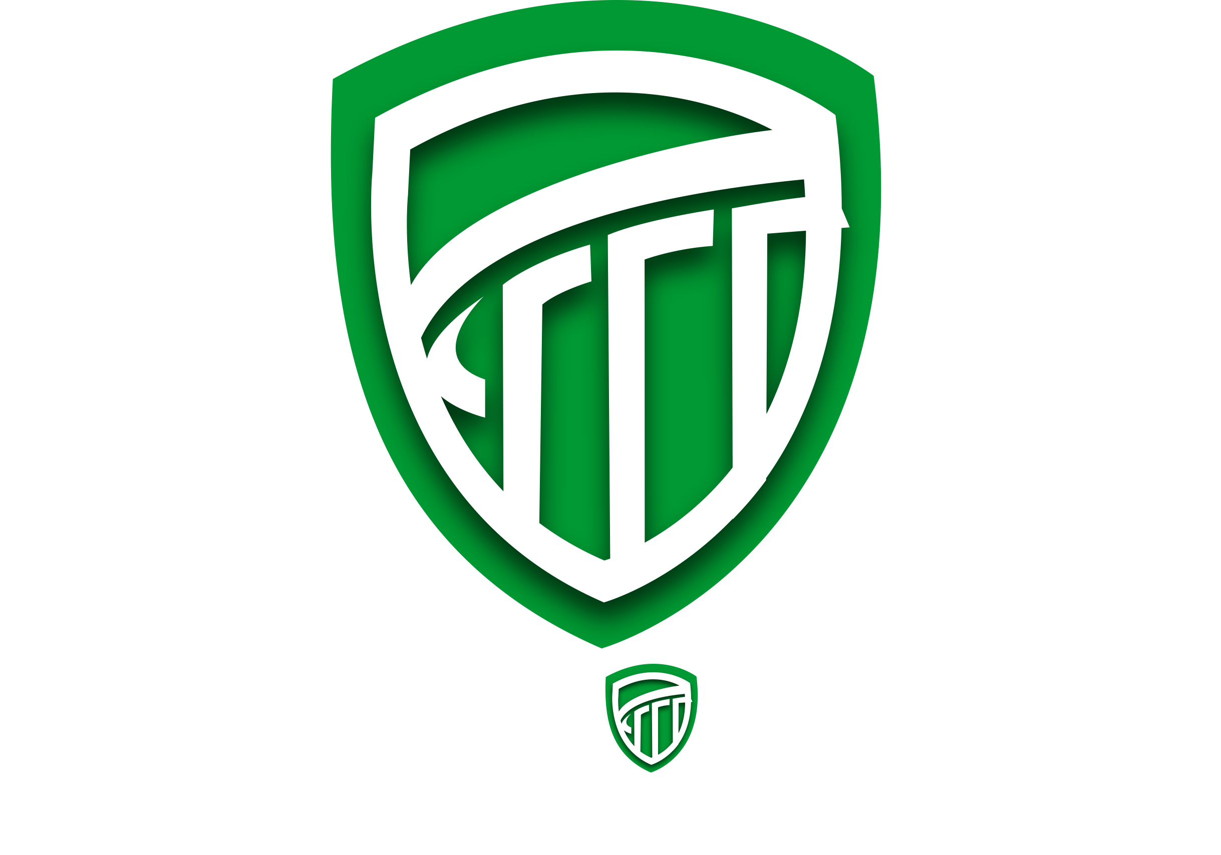 logo not found